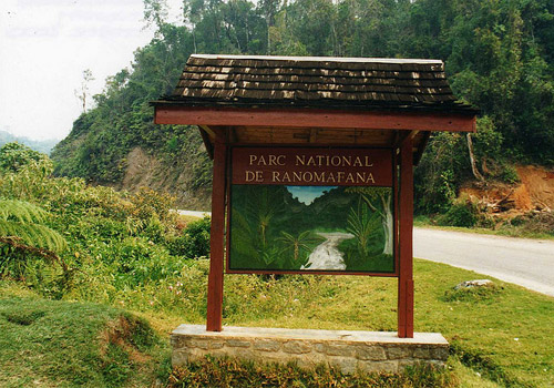 Parc national de Ranomafana | Leonora Elking - CC