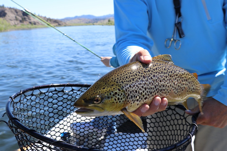 Voyage de pêche à la mouche en Italie