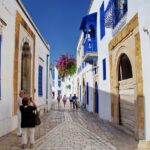 Tunisie Sidi bou said