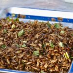 insectes comestibles